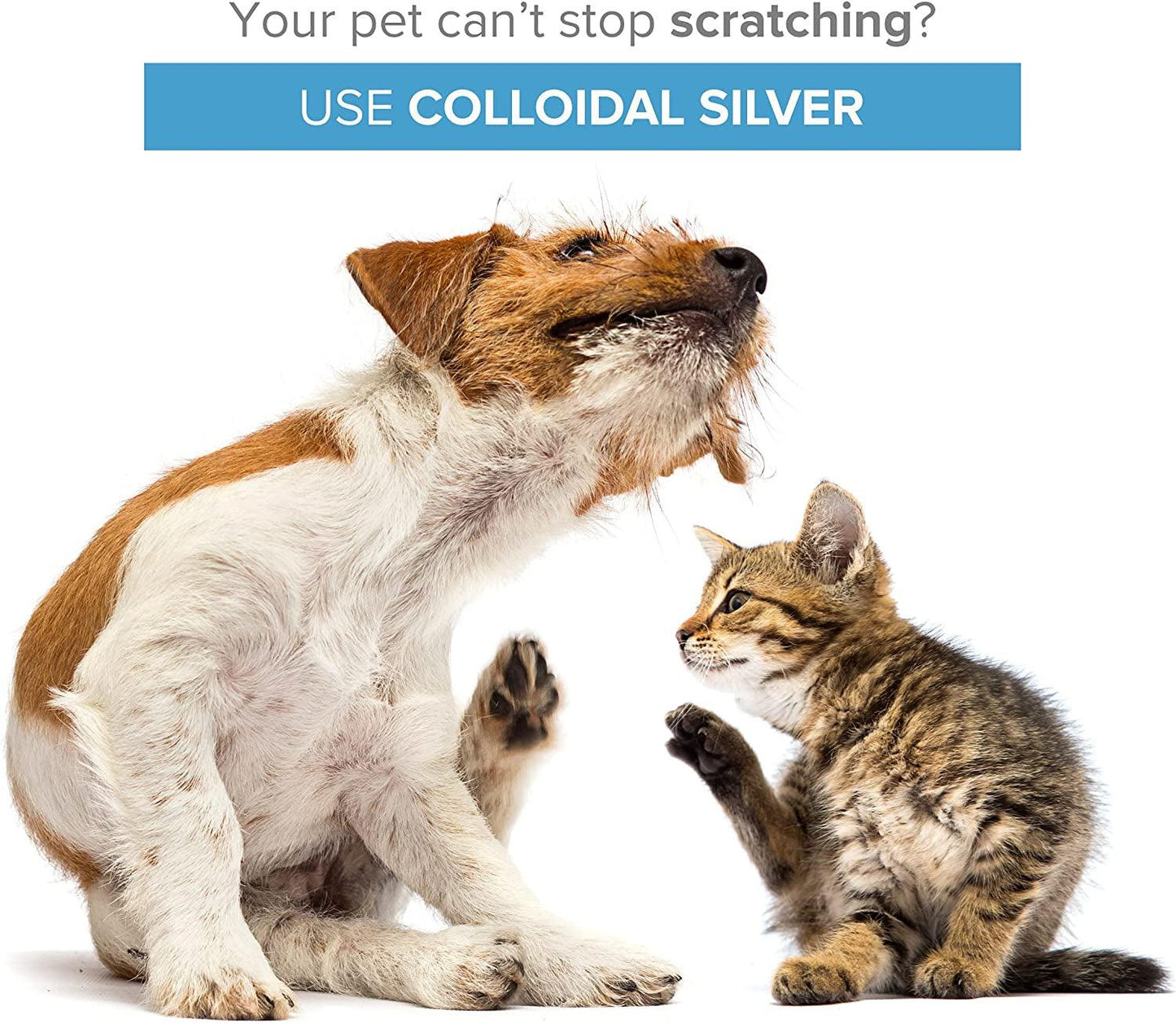 Colloidal Silver Antiseptic Spray: All-In-One for Dogs & Cats - Click